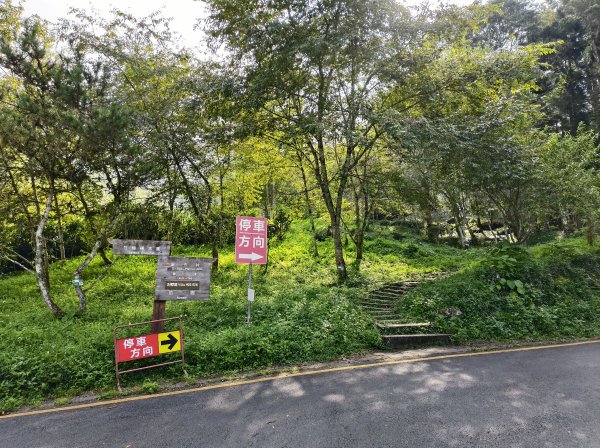[百山百鳥尋旅-05/15] 2025_0830 溪頭賞鳥步道_賞鳥步道2875039