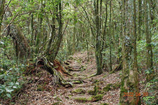 臺中 和平 鞍馬山1697264