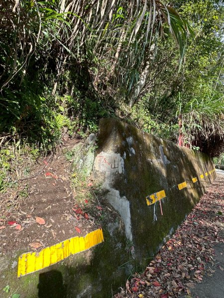 20260103民都有山北峰-主峰-西峰2977641