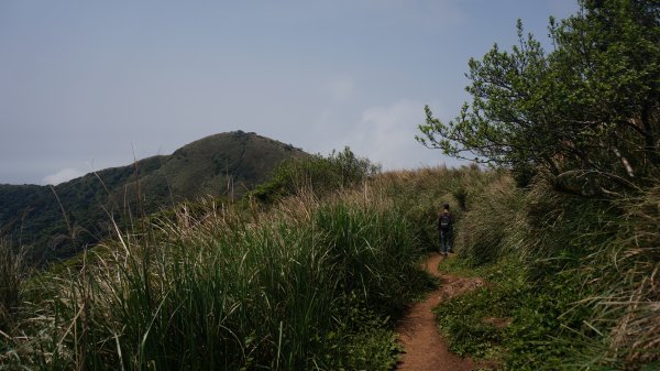 陽明山西段縱走 O形1916383