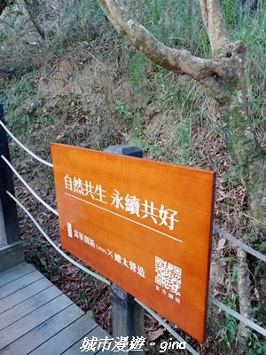 【台中北屯】大坑9-1x9號步道小O繞2945949