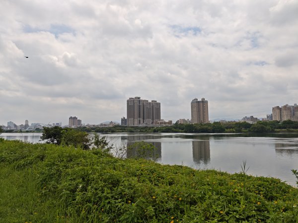 [跟著2025雙北世壯運探索雙北市-1/21] 2025_0607 飛盤競技道（華江雁鴨河濱步道）2807800