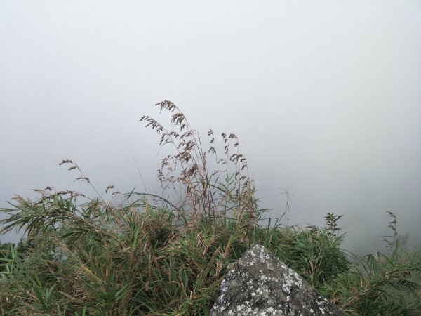 2019 10 29 三腳南山登山步道717762