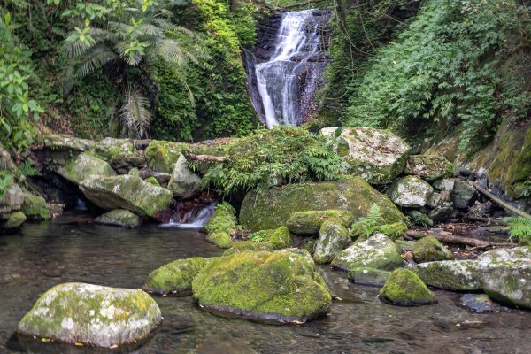 礁溪 五峰旗-跑馬古道3029602