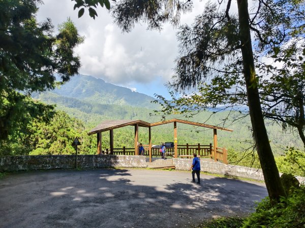 [百山百鳥尋旅-05/15] 2025_0830 溪頭賞鳥步道_銀杏步道2875493