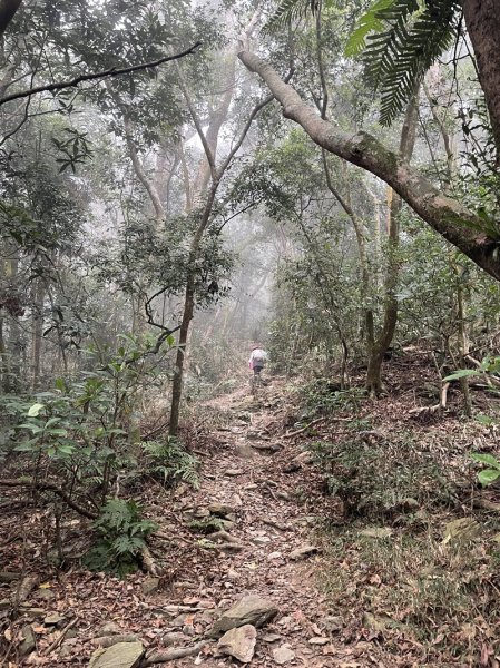 藤枝山&鳴海山2964419
