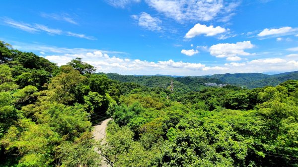 三峽紫微山，紫微聖母環山步道，土城桐花公園，五尖山，原住民族生態公園，龍潭大平紅橋，三坑自然生態公園1746460