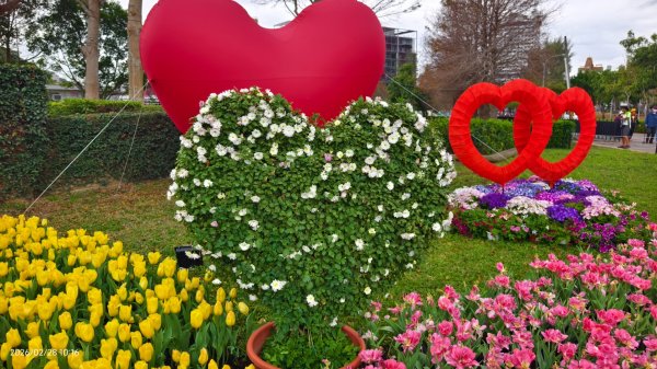 #士林官邸 #鬱金香 #中正紀念堂 #大漁櫻 2/283007868