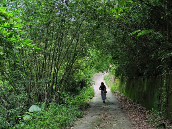 苗栗大湖 伯公潭古圳道1754317