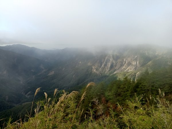 玉山主峰雲海日出765271