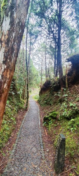 太平山翠峰湖見晴懷古步道2629017