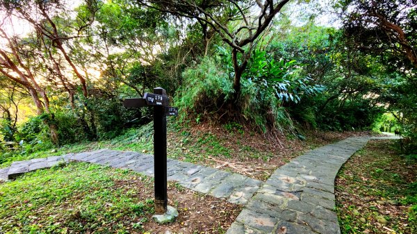 四獸山大縱走，虎山，豹山，獅山，象山，林口太平濱海步道，桃園龜山（貴山，龜山頭山），老坑溪步道1964733