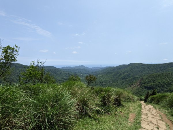 風擎步道+擎天崗環形步道2136648