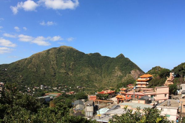 無耳茶壺山 芒花構成的737548