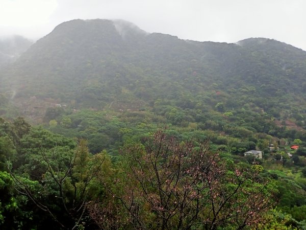 雨中漫步淡水跤頭趺崙步道、楓樹湖步道、天元宮1618533