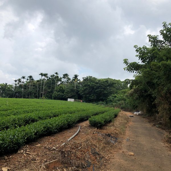 台灣小百岳No.048 橫山1102115