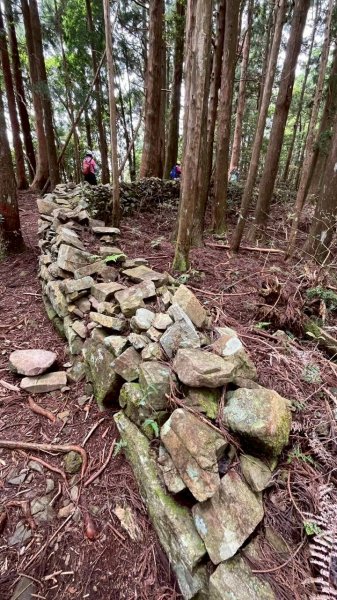 🌈5/10（日）大混山縱走李棟山（李棟山莊）✨FB：熊熊趴爬走~歡迎加入🌈3052550