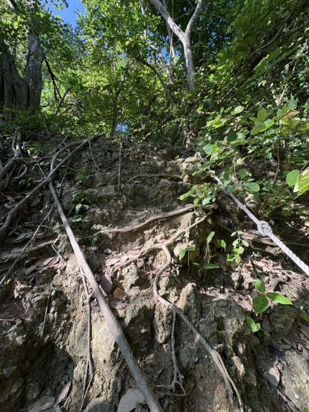 20251115壽山步道(元亨寺免費停車啟登)2938482