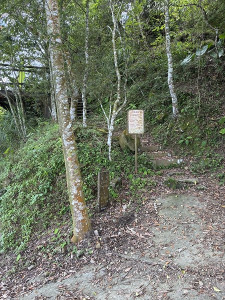 20260705楠西竹子尖山3082318