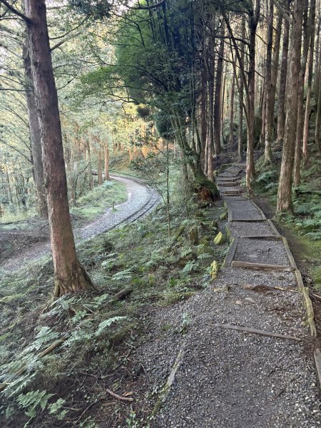 20251225塔山步道(大塔山)2970301