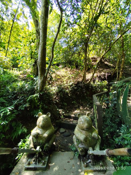 【臺北大縱走 7】2-2 指南宮貓空親山步道→壺穴步道→茶展中心步道→大成殿步道→指南宮竹柏參道2881864