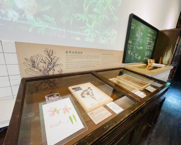 雨天備案💙 台灣博物館的古生代館-台大動植物館免費參觀-北投♨️季2807486