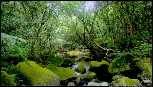 小觀音山群峰、大屯溪古道258568