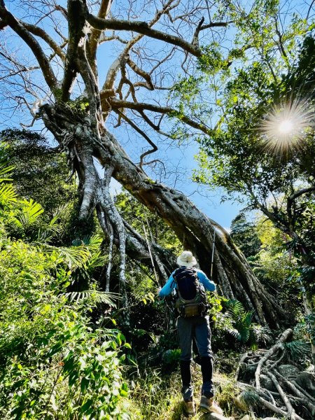 1150123里龍山2986678