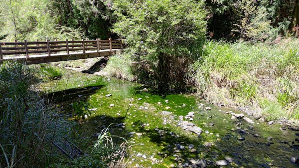 榛山景觀平台2918116