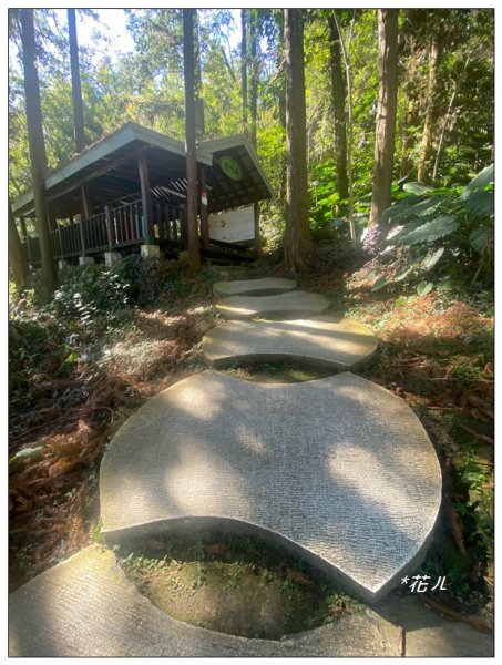 鳳凰谷鳥園步道2695915
