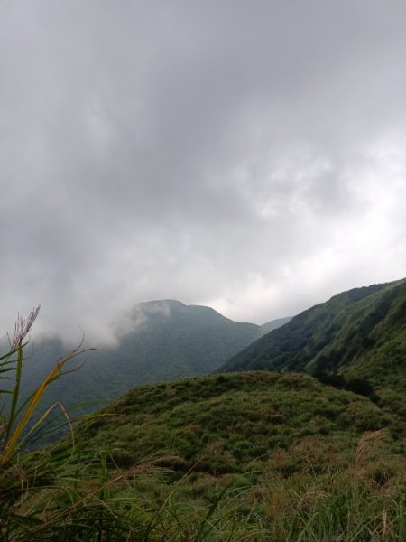 走遍陽明山2301765