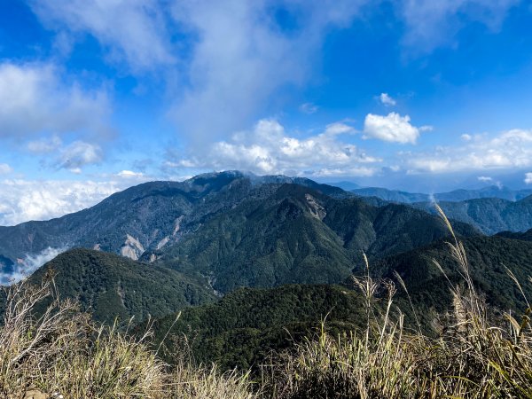 苗栗-加里山 杜鵑嶺869163