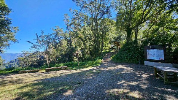 20251106北大武山步道☁️ 喜多麗雲海2931378