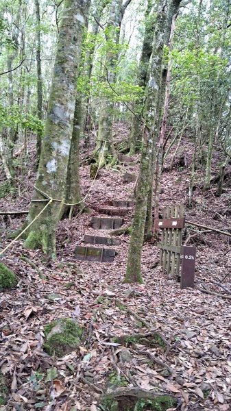 20230622 苗栗-雪見 東洗水山及北坑山 走走2192993