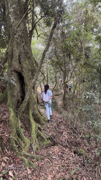 20250927小百岳鳳凰山2896390