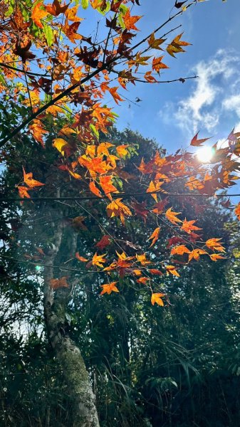 馬那邦山O走2370163