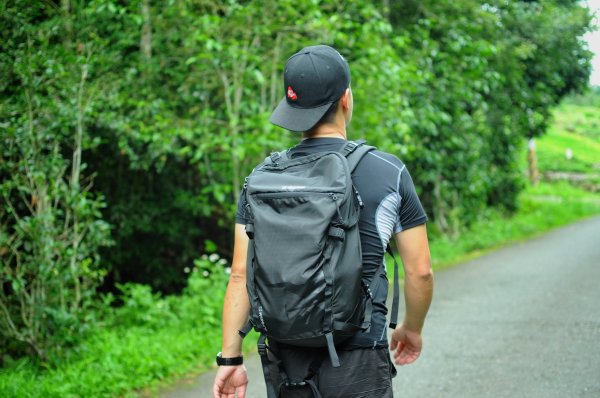 貓囒山真的有貓597043