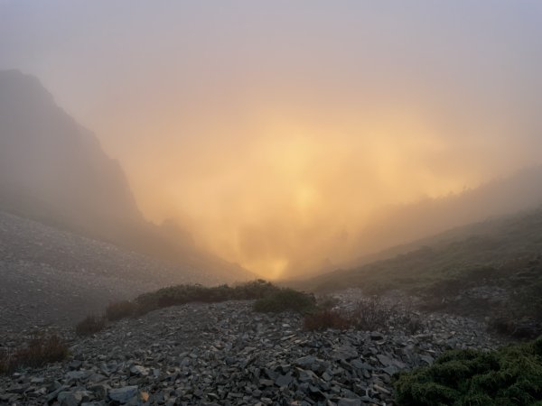 一日小O聖 2024 11/222865479
