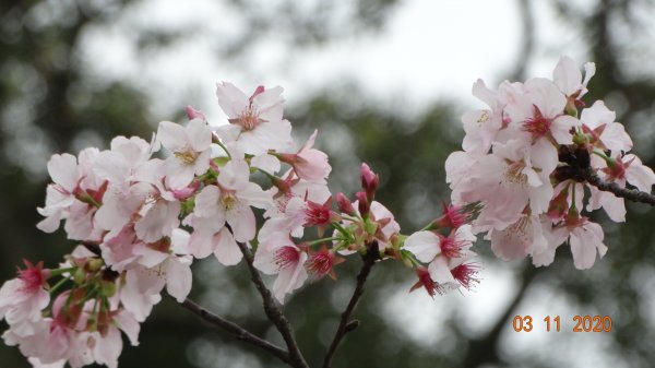 沒有意外，再度槓龜 !876572