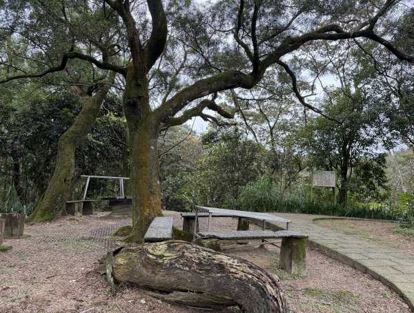 [微笑山線_第四段] 2026_0321 天上山系_石門內尖山東峰3021312