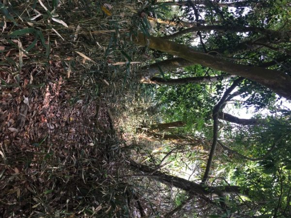 糖子恩山（鐵谷山宮2752014