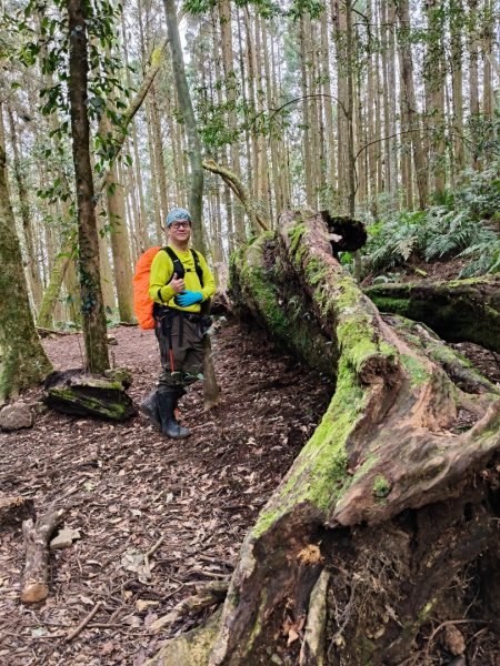 高島縱走202502152713804