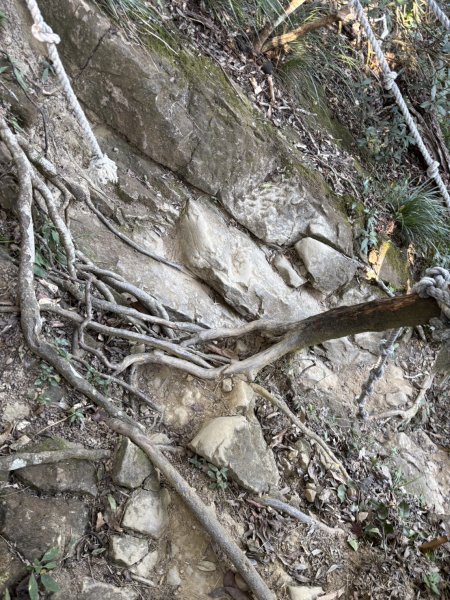 20251123台南－獵鷹尖一線天步道2944561