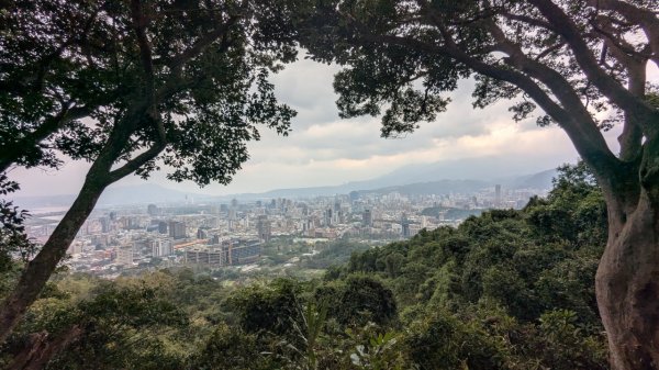 劍潭山親山步道2676457