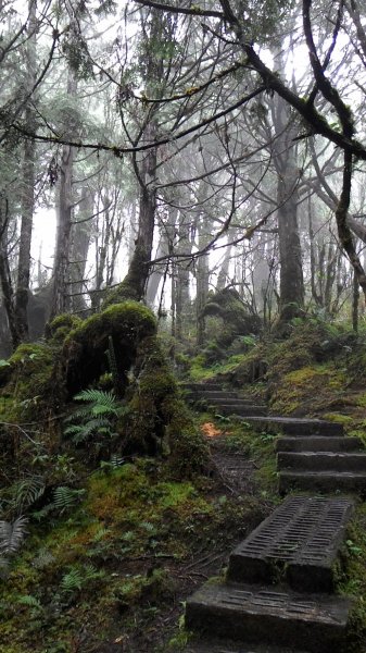藏身於雲霧中的湖泊~翠峰湖467008