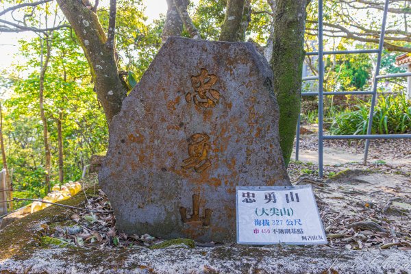 [台北]大崙頭山、碧山巖、忠勇山2746214