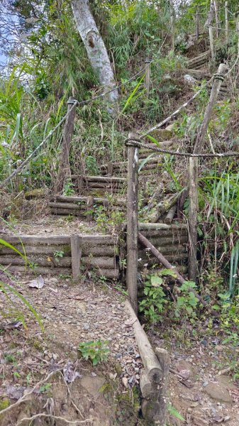 集集大山慢活行（孟宗竹林登山口）1627437