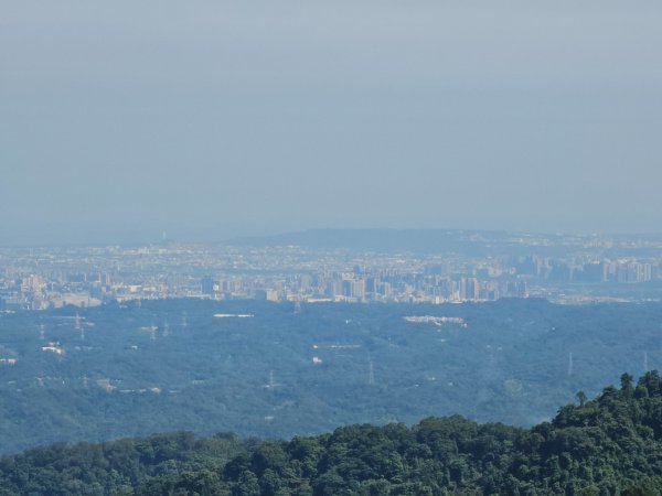 五指山橫向登山步道 - 2024森遊竹縣皮皮獅Hike客任務2555824