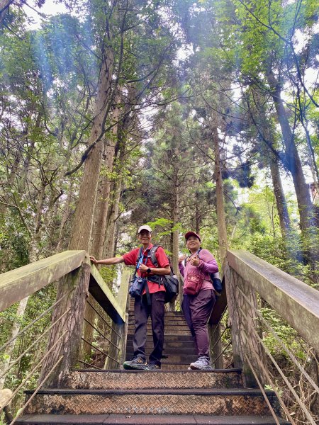 溪頭散步悠遊    2024.5.202517710