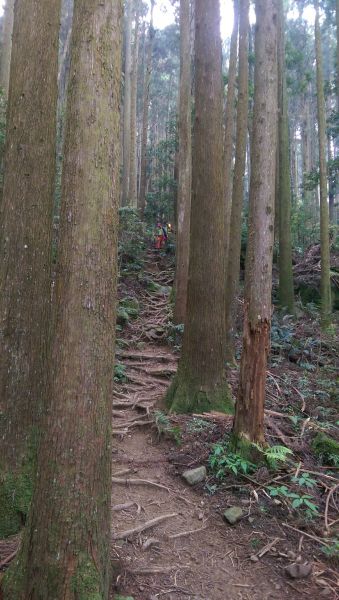 107.04.29 苗栗 加里山324007